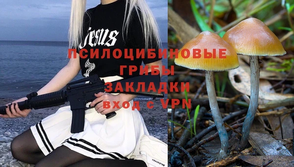 Альфа ПВП Алексин